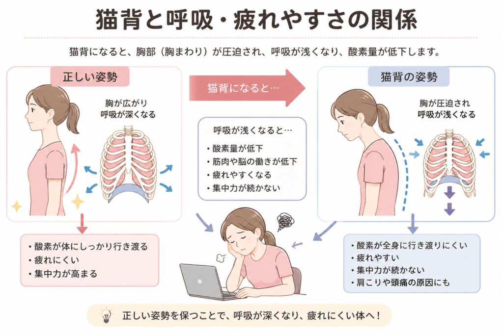 猫背　くるしい